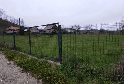 Teren de 3734 mp, în Albești - 2