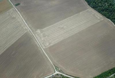 Teren de 300000 mp, în Bulbucata - 2