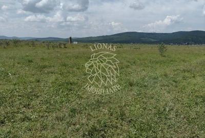 Teren agricol extravilan de 23700 mp, în Jelna - 4