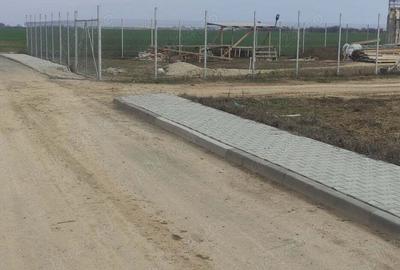 Teren de 12000 mp, în Dragomirești-Vale - 6