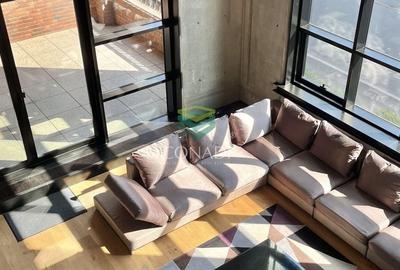 Apartament Loft de 3 Camere | Arhitectura Moderna | Spatios | - 4