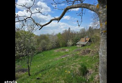 Teren de 3000 mp, în Certeju de Sus - 11