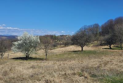 17 ha Valcea - superficie - parc fotovoltaic - 1