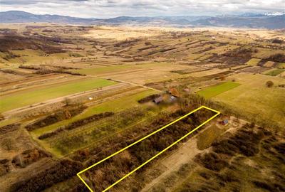 Teren Construcții intravilan de 5361 mp, în Vadu Crișului - 3