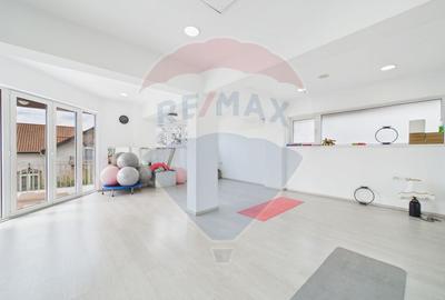 Proprietate specială, de 608 mp, în Mogoșoaia - 26