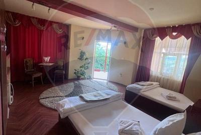 DE VANZARE Pensiune cu piscina, pastravarie, zona spa locatie de vis - 23