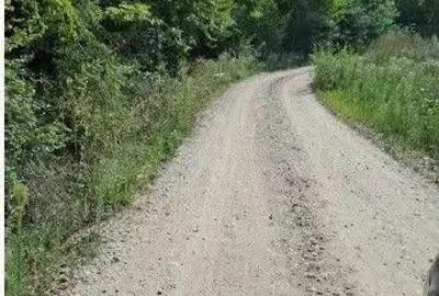 Teren extravilan Sotanga, ID: R2590381 - 4