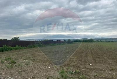 Teren 2,500mp Margineni / Prelungirea Crinului - 3