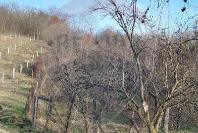 Teren de 1736 mp, în Bogați - 8