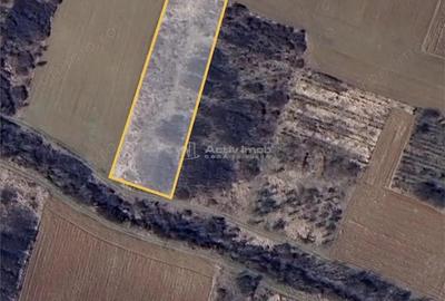 Teren extravilan de vanzare Dealul Viilor, Biharia | 3000 mp - 2