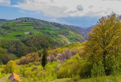 Teren 11,342 mp Poiana Marului /Extravilan/Oportunitate investiție - 11