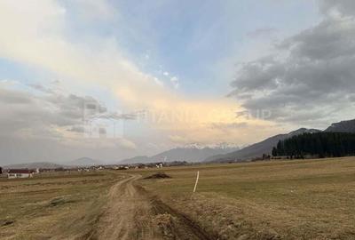 Teren de 2548 mp, în Zărnești - 7