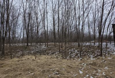 Spațiu comercial, în Teișani - 1