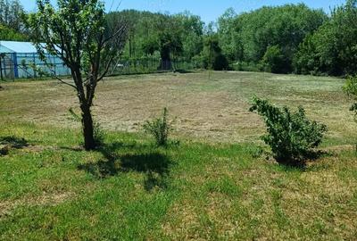 Casa Crevedia Mare Giurgiu Casa Crevedia Mare Giurgiu - 6