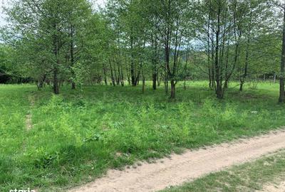 Teren de 1200 mp, în Lisa - 8