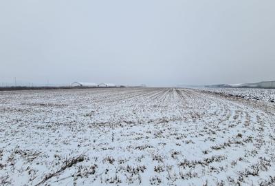 Teren industrial de vanzare in Stupini - 7