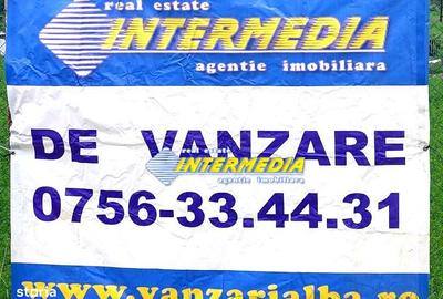 Teren de 15800 mp, în Șibot - 2