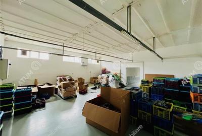 Spatiu industrial cu 2 hale si anexe teren 2543 in Hamba judetul Sibiu - 5