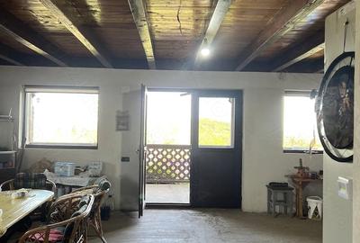 Casă cu 2 camere cu Teren 7500 Mp în Sulighete - 2