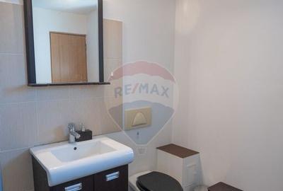 Casa / Vila de Vanzare - 4