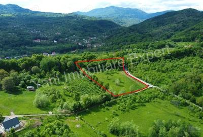 Teren de 8387 mp, în Corbi - 5