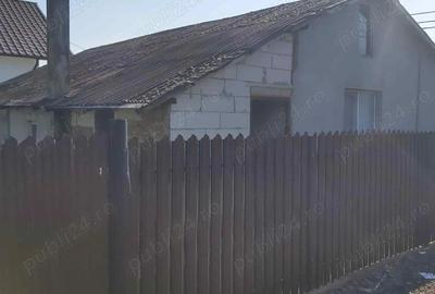 Casa pe pamant de vanzare Valu Traian - 3