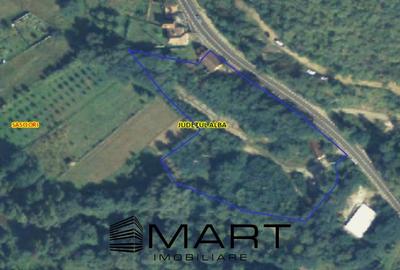 Teren Construcții extravilan de 7432 mp, în Săsciori - 2