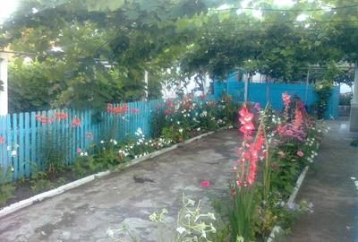 Casă cu Teren 1853 Mp în Sarichioi - 9