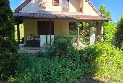 Casă cu 3 camere cu Teren 4149 Mp în Apa - 13