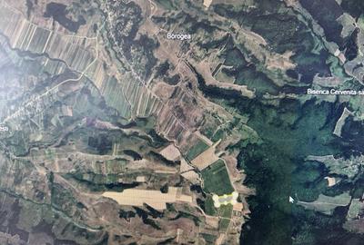 Teren de 480000 mp, în Prunișor - 4