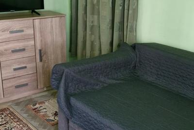 Apartament cu 2 camere nedecomandat în Central - 5