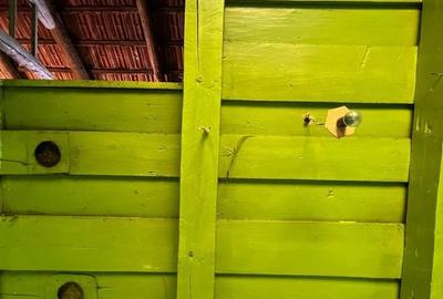 Casă cu 4 camere în Merișor - 3