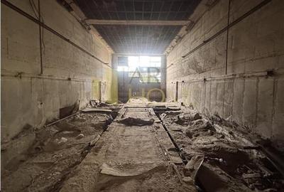 Spațiu industrial, de 3,824 mp, în B-dul București - 8