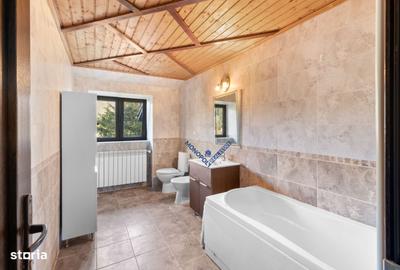 Casă cu 4 camere cu Teren 3677 Mp în Timișu de Sus - 17