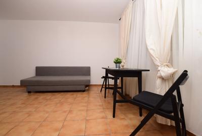 Garsonieră mobilată, Iacob Felix - Piața Victoriei - 3