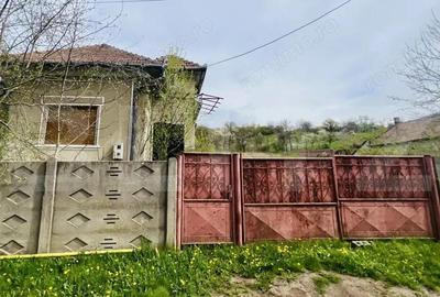 Casa de Vanzare, 4139 mp, Hapria, Ciugud Ideala ca Locuin?a sau Proiect Rural - 7