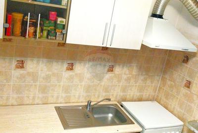 Apartament cu 2 camere de vanzare in zona 1 Mai Insula - 13