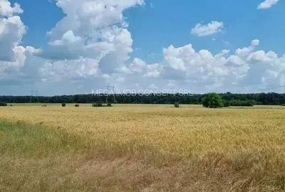 Teren de 428.99 mp, în Brănești - 2