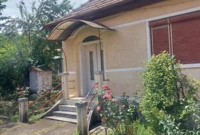 Casa cu gradina in Blaj - 1