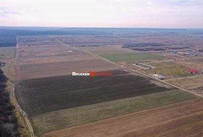 Teren de 507 mp, în Cihei - 4