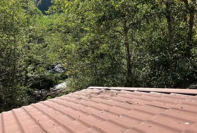 Casa 480  mp  costructie la gri; Transfagarasan, Cartisoara, 900 mp teren, parau - 16