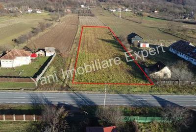 Teren de 5144 mp, în Băiculești - 6