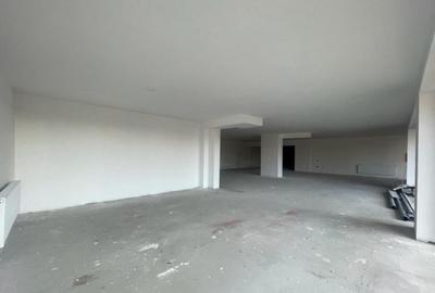 Spatiu comercial de 269 mp! Vad foarte bun ! - 11