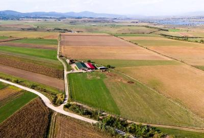 Teren de 18000 mp, în Rotbav - 14