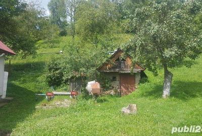 Casă cu Teren 2400 Mp în Cavnic - 13