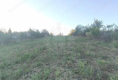 Teren de 3017 mp, în Plopu - 7