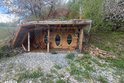 Casă cu Teren 62000 Mp în Horea - 9