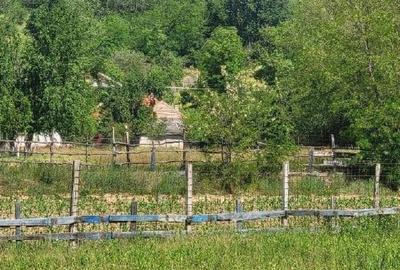 Teren extravilan arabil Tisau, ID: R2590475 - 2