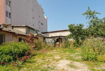 Piata Victoriei Mihalache stradal Corp Casa monument curt... - 11