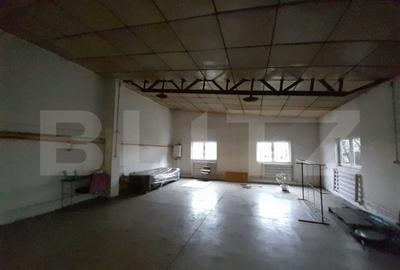 Hale pentru industrie grea ( confectii metalice) - 1